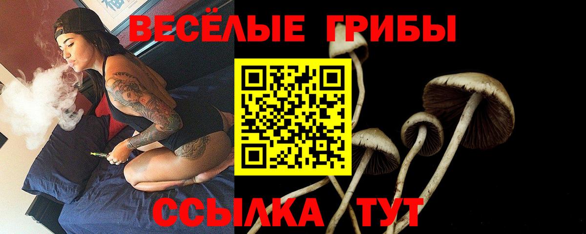 Псилоцибиновые грибы Psilocybine cubensis  Галлюциногенные грибы мухоморы  Вход с VPN  Янаул 